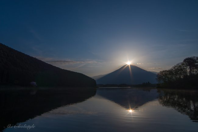 Lr_DSC_9677