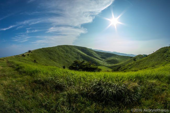 Lr_DSC_0148