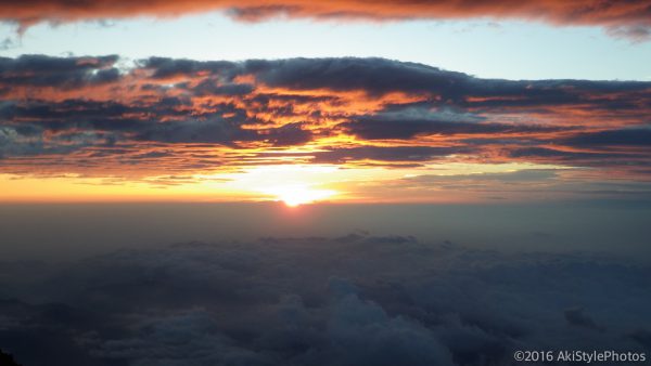Lr_RIMG0078