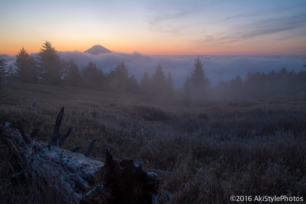 lr_dsc_9355