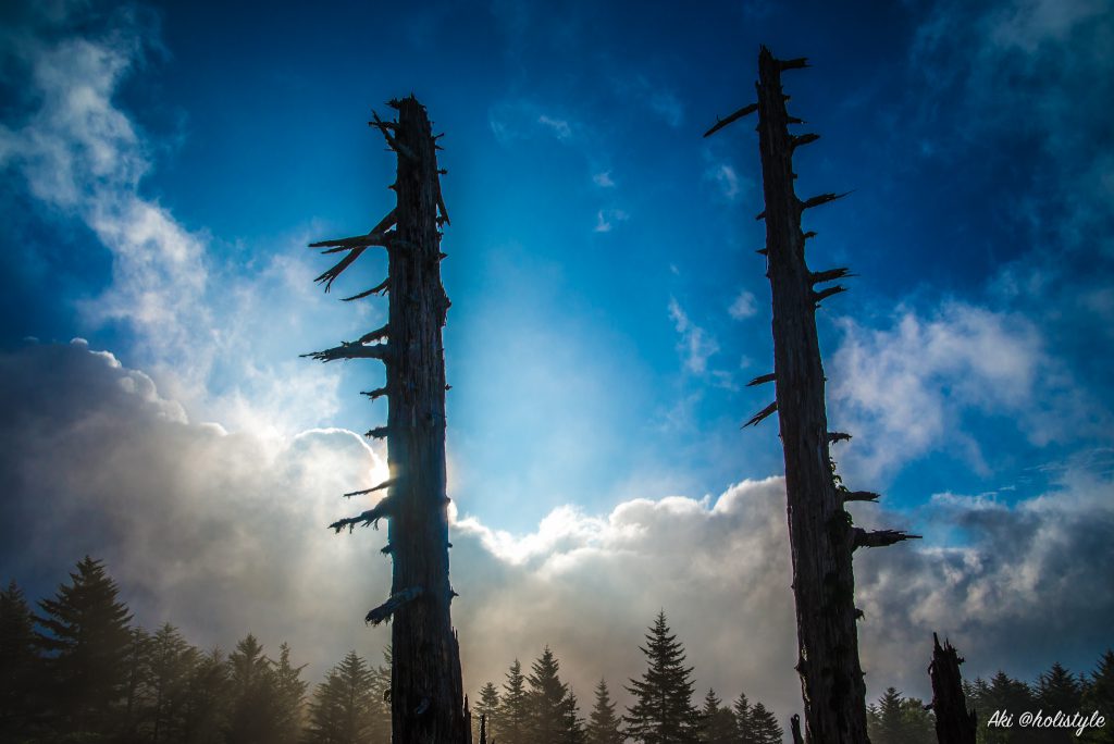 Lr_DSC_5014