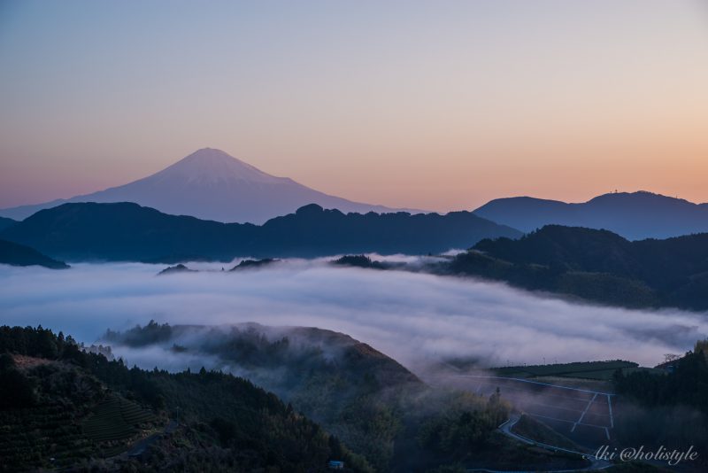 Lr_DSC_6716