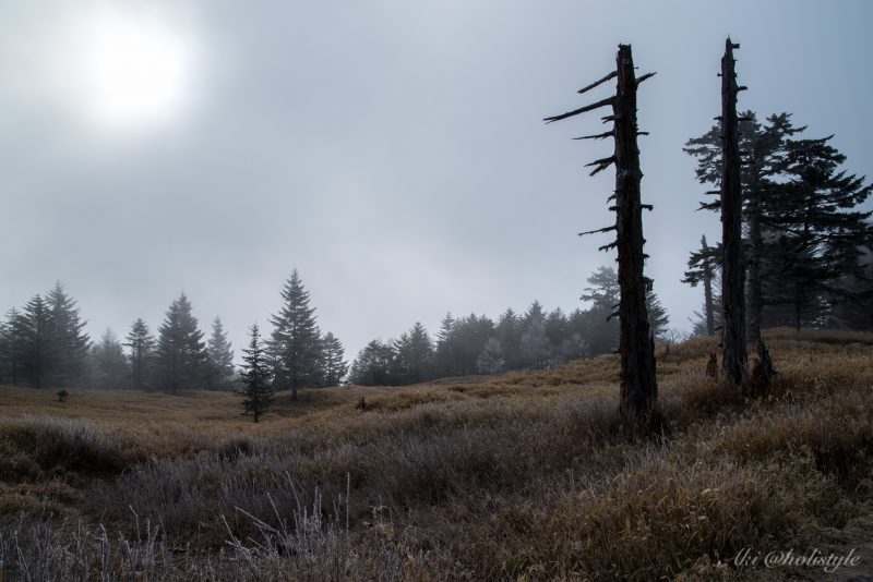 Lr_DSC_9385