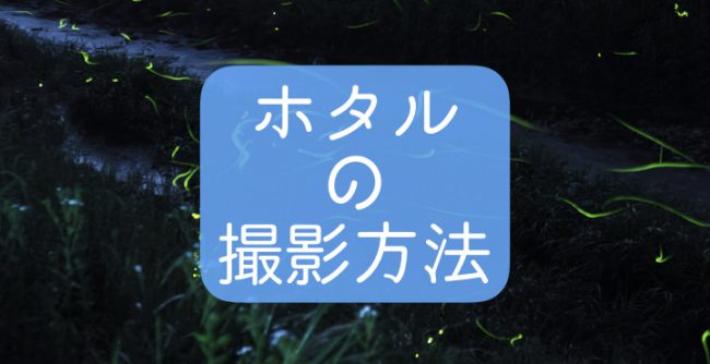 ホタルを撮影して比較明合成で作品にする方法 撮影編 合成に必用な