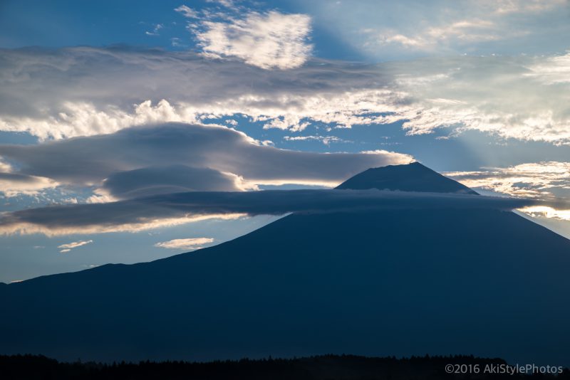 Lr_DSC_6341