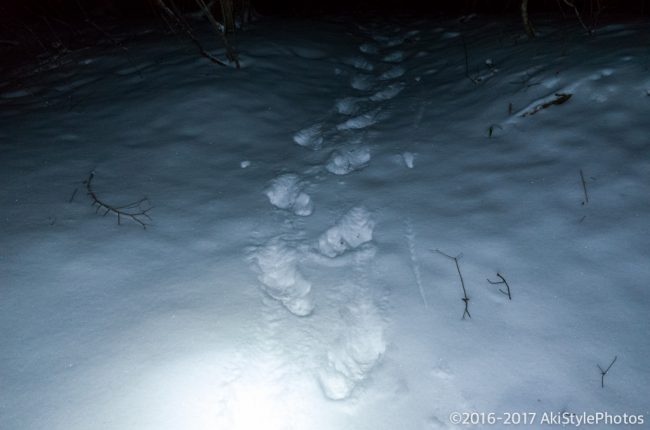 富士山が見えなくては意味がない!?三ツ峠山の樹氷を狙った結果