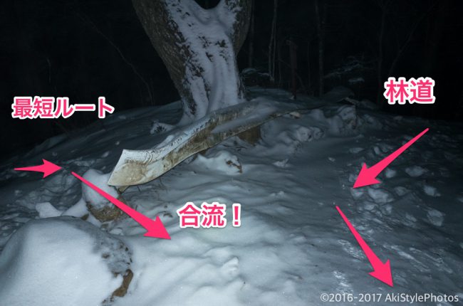 富士山が見えなくては意味がない!?三ツ峠山の樹氷を狙った結果
