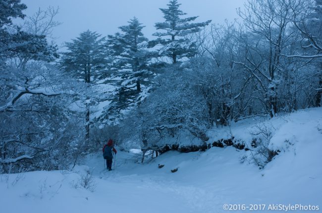 富士山が見えなくては意味がない!?三ツ峠山の樹氷を狙った結果