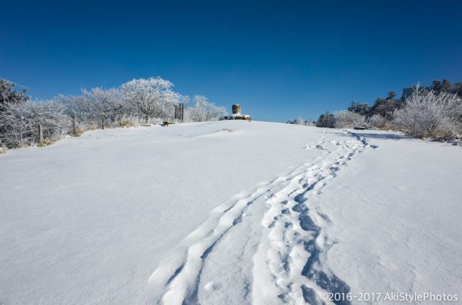富士山が見えなくては意味がない!?三ツ峠山の樹氷を狙った結果