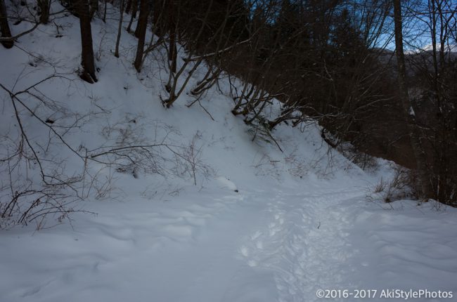 富士山が見えなくては意味がない!?三ツ峠山の樹氷を狙った結果