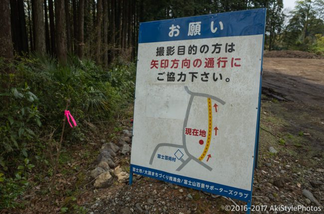 新緑の大淵笹場と今宮の茶畑!農家に迷惑をかけないための撮影ルール
