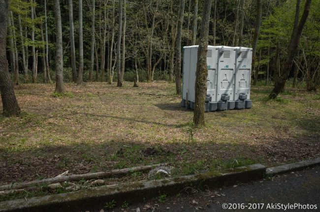 新緑の大淵笹場と今宮の茶畑!農家に迷惑をかけないための撮影ルール