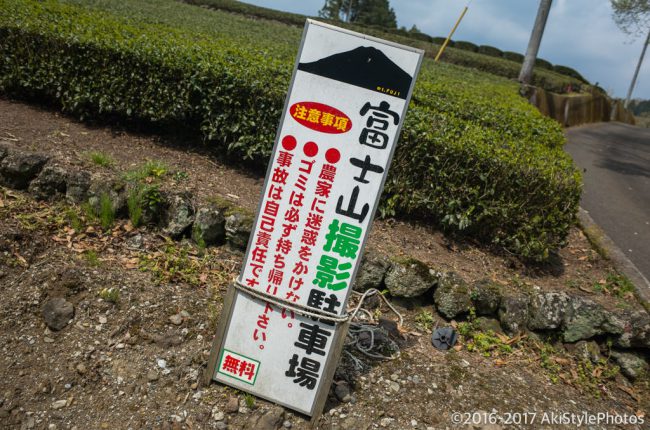 新緑の大淵笹場と今宮の茶畑!農家に迷惑をかけないための撮影ルール