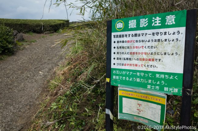 新緑の大淵笹場と今宮の茶畑!農家に迷惑をかけないための撮影ルール