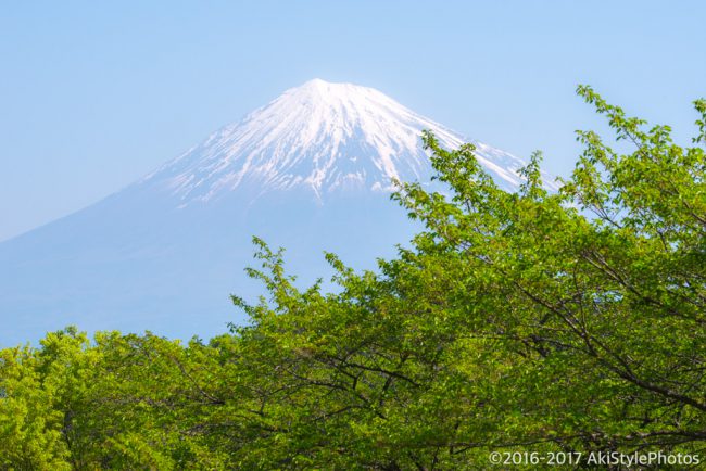 季節ものに疎い僕が撮影した、GW前後に狙える新緑と富士山まとめ2017
