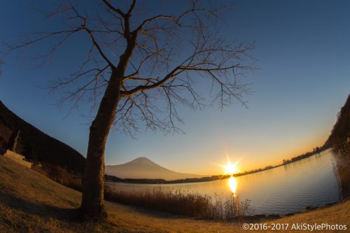 田貫湖の日の出と富士山