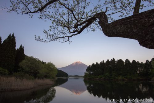 富士山写真の定番!田貫湖の富士山撮影ポイント7選