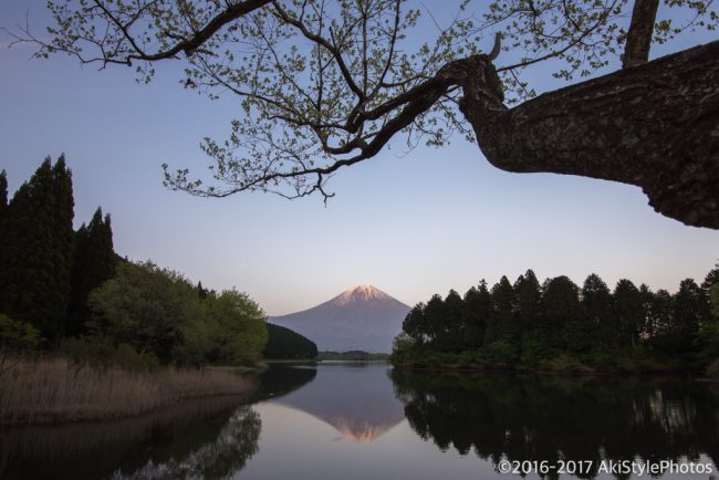 富士山写真の定番!田貫湖の富士山ビューポイント7選