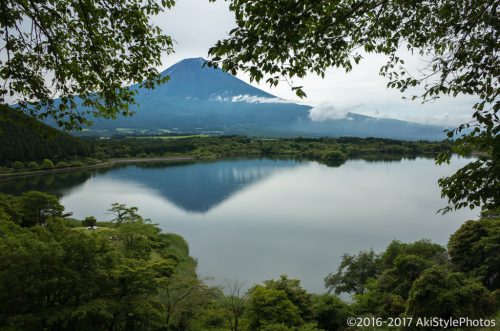 田貫湖のたぬき展望台