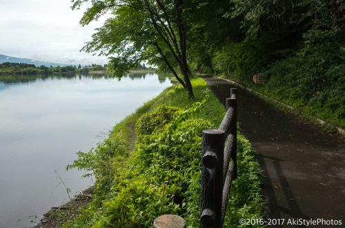 ブヨに噛まれたので調べてみたら吸血系最凶の虫だった。対処法まとめ