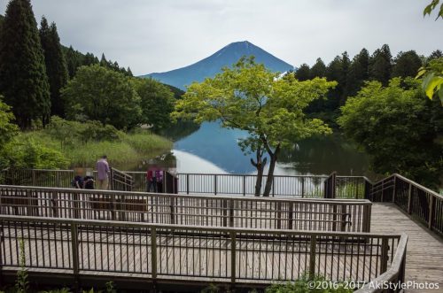 富士山写真の定番!田貫湖の富士山撮影ポイント7選