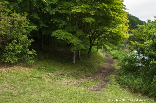 富士山写真の定番!田貫湖の富士山撮影ポイント7選