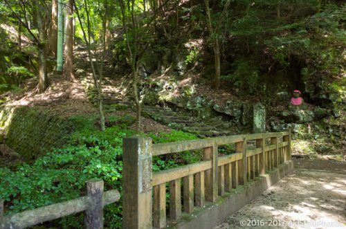 大山をケーブルカー無しで登山。標高1,252mで相当バテた理由