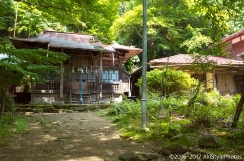 大山をケーブルカー無しで登山。標高1,252mで相当バテた理由