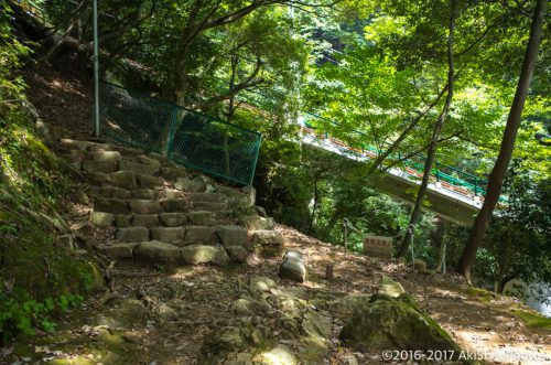 大山をケーブルカー無しで登山。標高1,252mで相当バテた理由