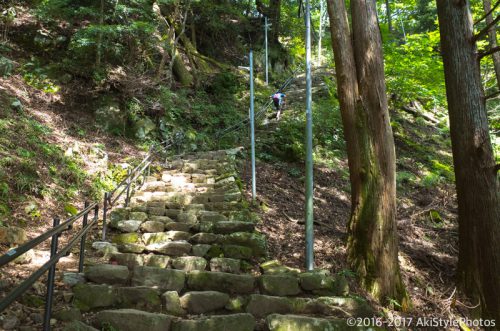 大山をケーブルカー無しで登山。標高1,252mで相当バテた理由