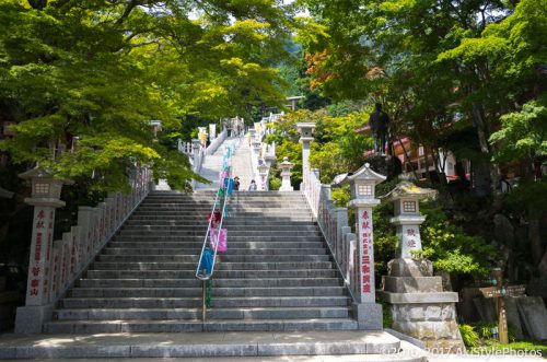 大山をケーブルカー無しで登山。標高1,252mで相当バテた理由