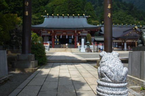 大山をケーブルカー無しで登山。標高1,252mで相当バテた理由