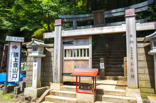 大山をケーブルカー無しで登山。標高1,252mで相当バテた理由