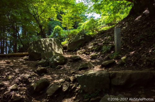 大山をケーブルカー無しで登山。標高1,252mで相当バテた理由