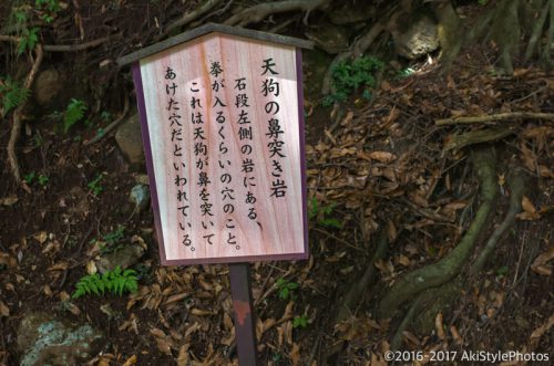 大山をケーブルカー無しで登山。標高1,252mで相当バテた理由
