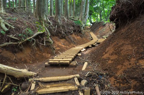 大山をケーブルカー無しで登山。標高1,252mで相当バテた理由