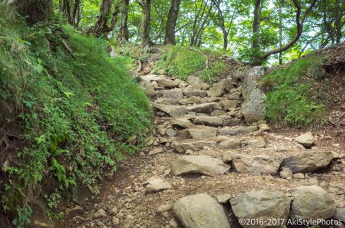 大山をケーブルカー無しで登山。標高1,252mで相当バテた理由