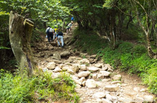 大山をケーブルカー無しで登山。標高1,252mで相当バテた理由