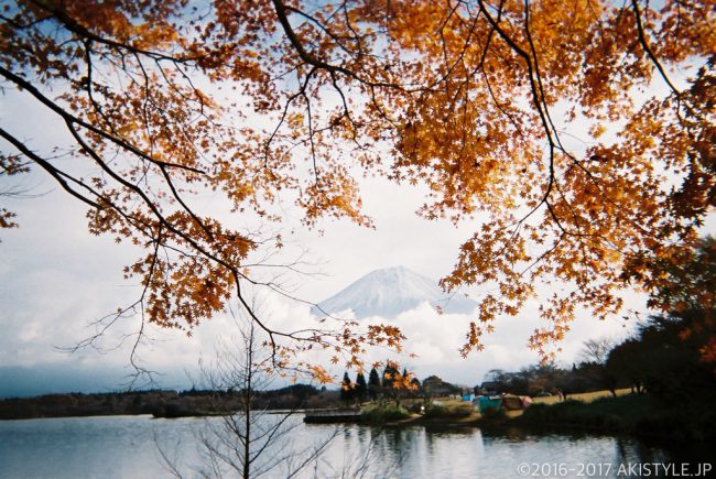 「写ルンです」で撮影した富士山と紅葉