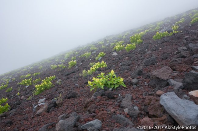 4回目の富士登山。富士山の頂上で食べるカップ麺は格別だった