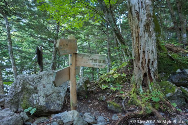 北岳の大樺沢と白根御池小屋の分岐