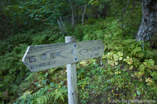 北岳の大樺沢ルート