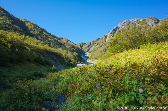 大樺沢から眺む北岳