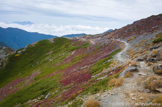 北岳肩の小屋付近の登山道