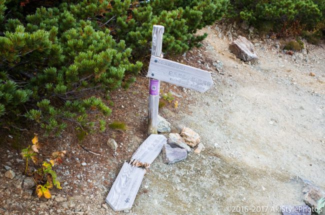 北岳の小太郎山分岐付近