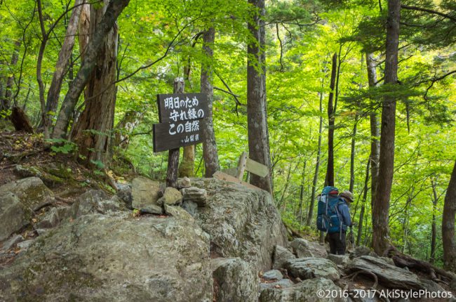 北岳「白根御池小屋・大樺沢二俣」分岐
