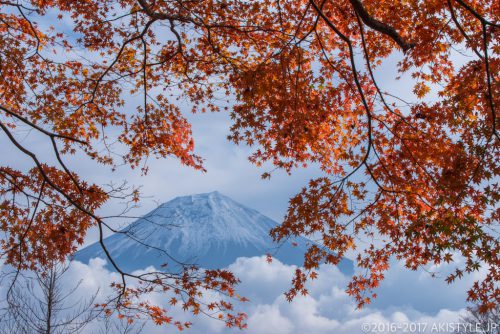 田貫湖の紅葉と富士山