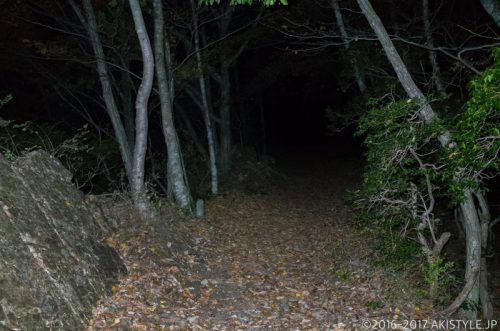 精進湖パノラマ台への登山道