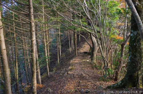 精進峠から三方分山へ紅葉ハイキング