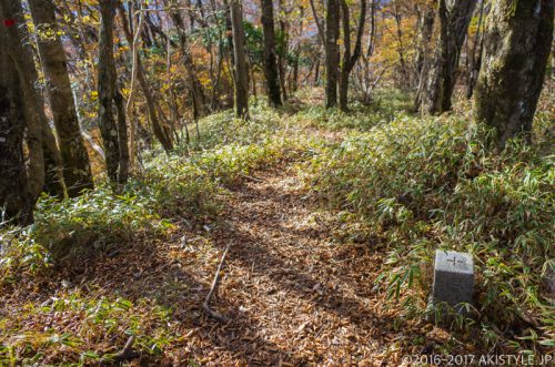 精進山の三角点